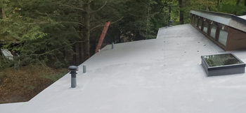 Low Slope Roof